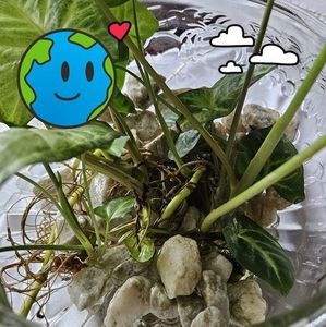 Meet your Posher, Alejandra